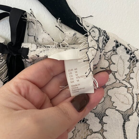 H&M Lace Short Sleeved Shift Dress - Picture 6 of 6